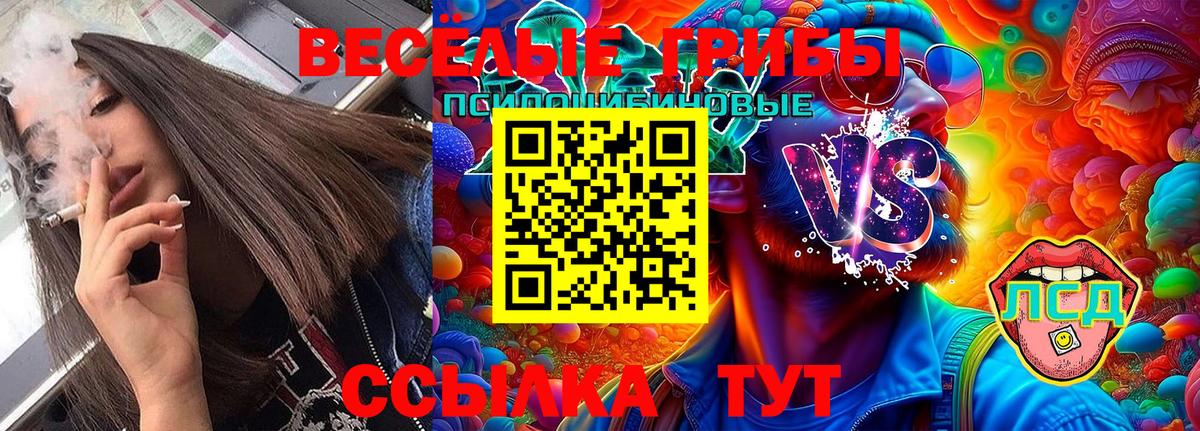 Вязники  Галлюциногенные грибы Magic Shrooms  Вход с VPN 